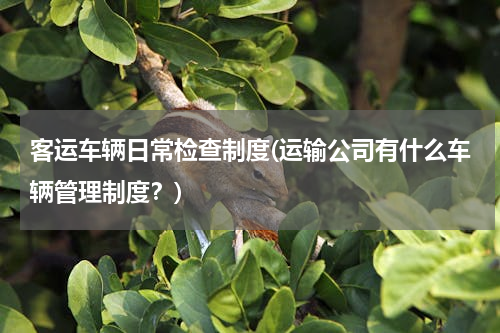 客运车辆日常检查制度(运输公司有什么车辆管理制度？)