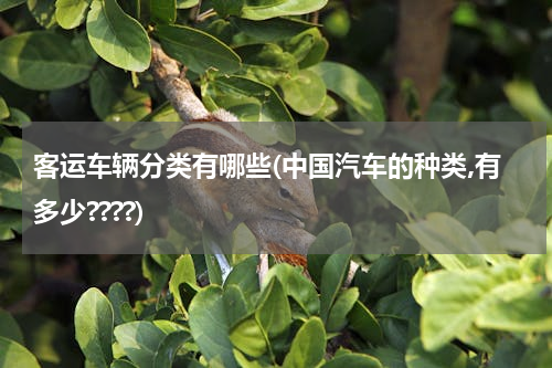 客运车辆分类有哪些(中国汽车的种类,有多少????)