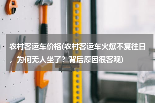 农村客运车价格(农村客运车火爆不复往日，为何无人坐了？背后原因很客观)