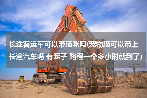 长途客运车可以带猫咪吗(宠物猫可以带上长途汽车吗 有笼子 路程一个多小时就到了)