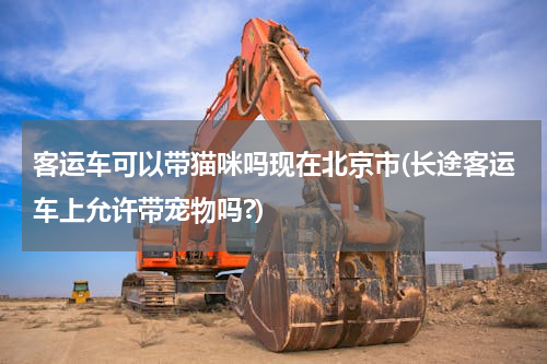 客运车可以带猫咪吗现在北京市(长途客运车上允许带宠物吗?)