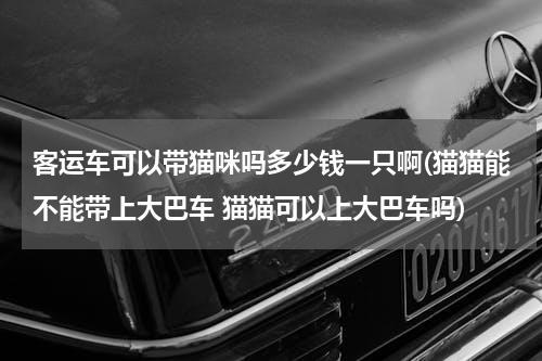 客运车可以带猫咪吗多少钱一只啊(猫猫能不能带上大巴车 猫猫可以上大巴车吗)