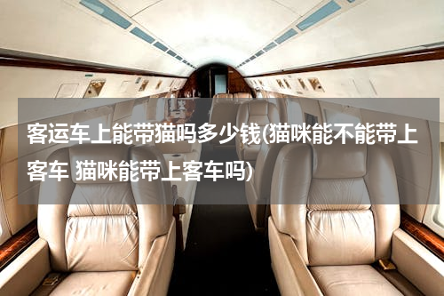 客运车上能带猫吗多少钱(猫咪能不能带上客车 猫咪能带上客车吗)