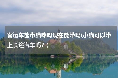 客运车能带猫咪吗现在能带吗(小猫可以带上长途汽车吗？)