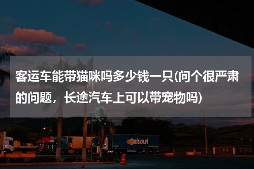 客运车能带猫咪吗多少钱一只(问个很严肃的问题，长途汽车上可以带宠物吗)