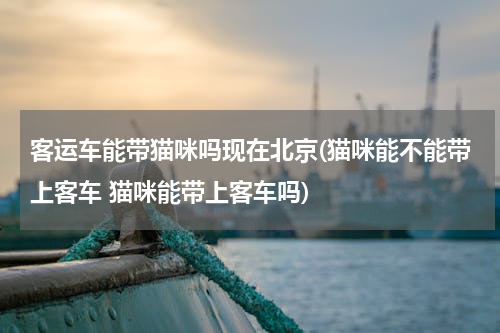 客运车能带猫咪吗现在北京(猫咪能不能带上客车 猫咪能带上客车吗)