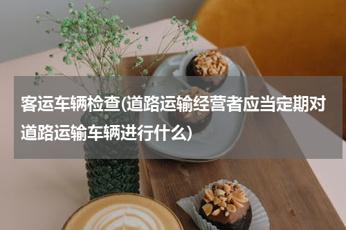 客运车辆检查(道路运输经营者应当定期对道路运输车辆进行什么)