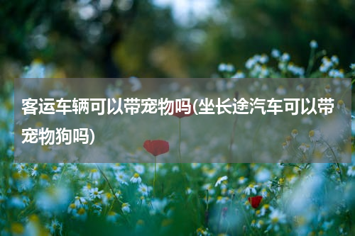 客运车辆可以带宠物吗(坐长途汽车可以带宠物狗吗)