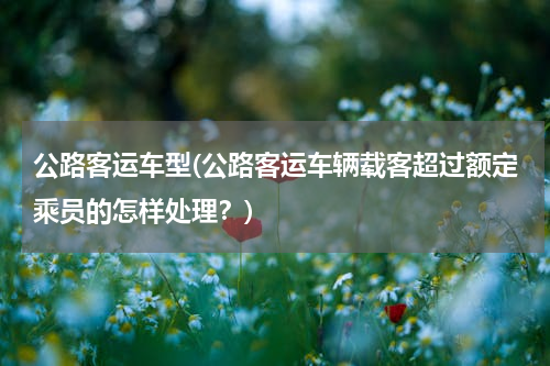 公路客运车型(公路客运车辆载客超过额定乘员的怎样处理？)