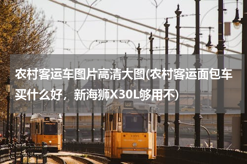 农村客运车图片高清大图(农村客运面包车买什么好，新海狮X30L够用不)