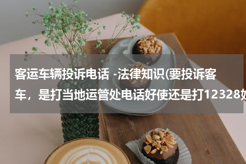 客运车辆投诉电话 -法律知识(要投诉客车，是打当地运管处电话好使还是打12328好使)