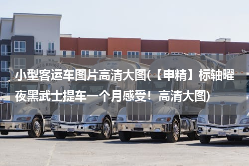 小型客运车图片高清大图(【申精】标轴曜夜黑武士提车一个月感受！高清大图)