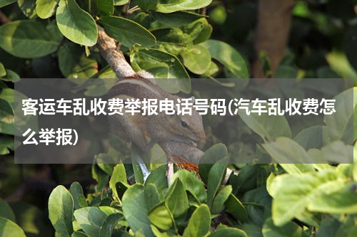 客运车乱收费举报电话号码(汽车乱收费怎么举报)