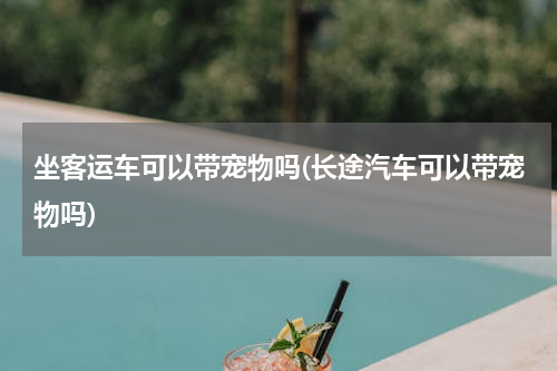 坐客运车可以带宠物吗(长途汽车可以带宠物吗)