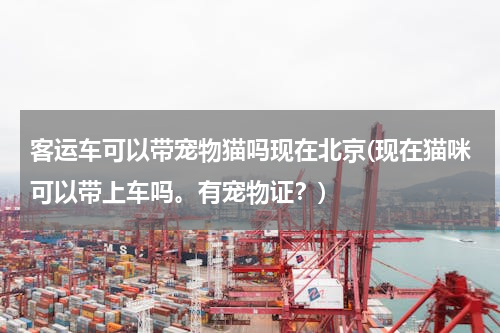 客运车可以带宠物猫吗现在北京(现在猫咪可以带上车吗。有宠物证？)