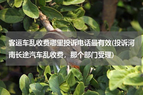 客运车乱收费哪里投诉电话最有效(投诉河南长途汽车乱收费，那个部门受理)