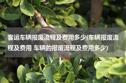 客运车辆报废流程及费用多少(车辆报废流程及费用 车辆的报废流程及费用多少)