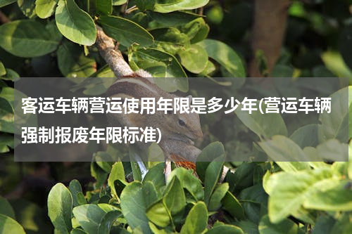 客运车辆营运使用年限是多少年(营运车辆强制报废年限标准)