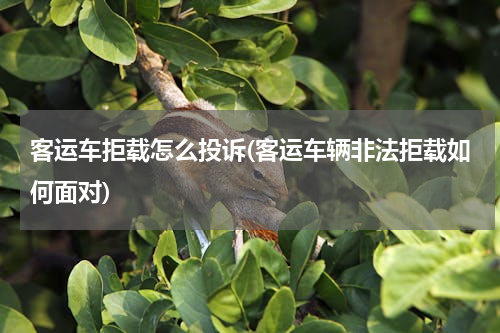 客运车拒载怎么投诉(客运车辆非法拒载如何面对)