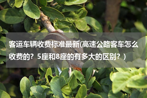 客运车辆收费标准最新(高速公路客车怎么收费的？5座和8座的有多大的区别？)