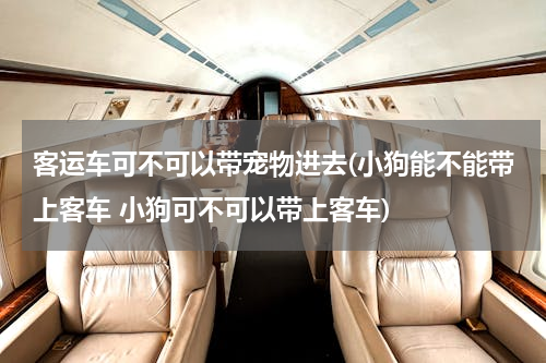 客运车可不可以带宠物进去(小狗能不能带上客车 小狗可不可以带上客车)