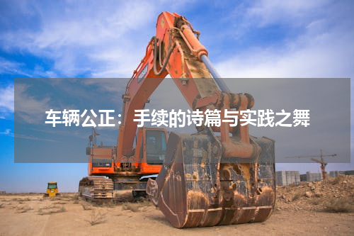 车辆公正：手续的诗篇与实践之舞