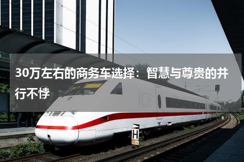 30万左右的商务车选择：智慧与尊贵的并行不悖