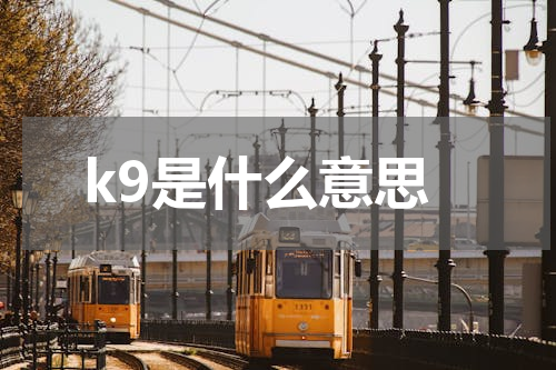k9是什么意思