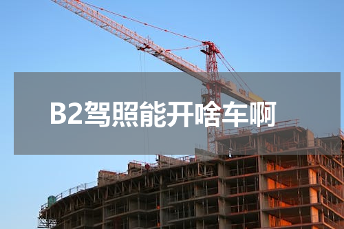 B2驾照能开啥车啊