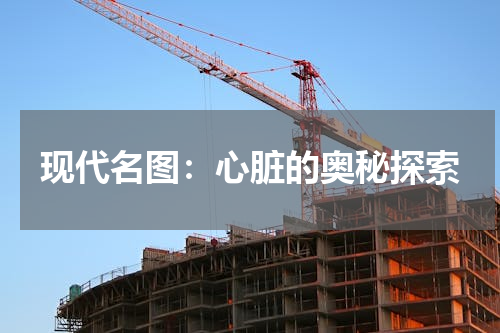 现代名图：心脏的奥秘探索