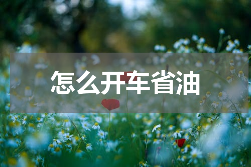 怎么开车省油