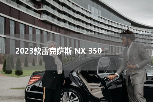 2023款雷克萨斯 NX 350
