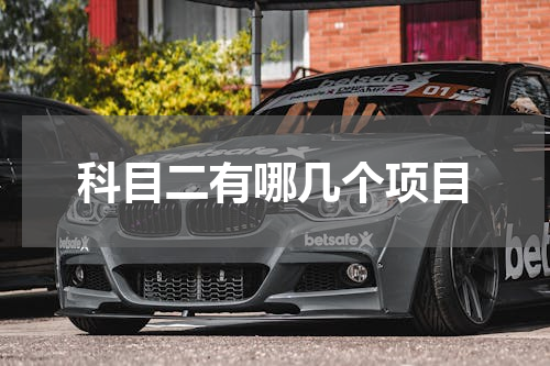科目二有哪几个项目